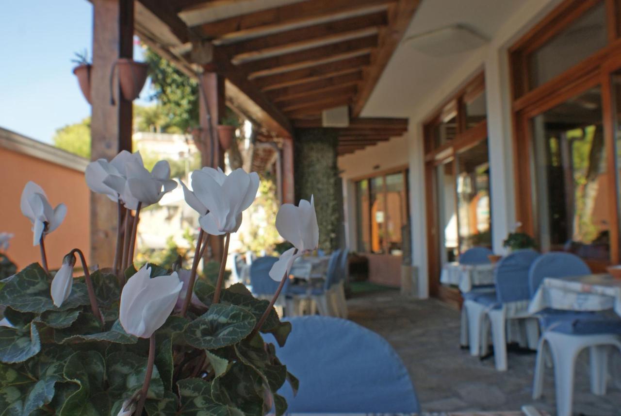 Albergo La Pineta Marina dʼMarina dʼAndora Kültér fotó